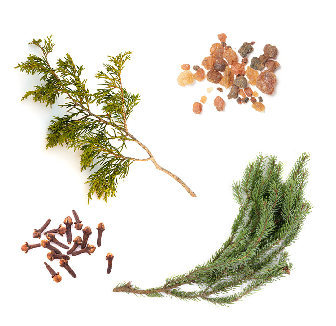 Doterra northern escape alkotói