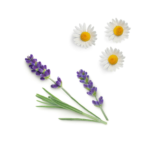 calmer whats inside 1085x1050 eu