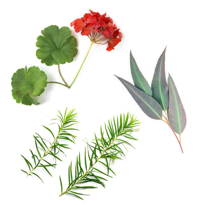 hdclear whats inside 1085x1050 eu