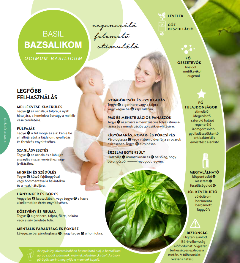 esszencialis elet betekinto