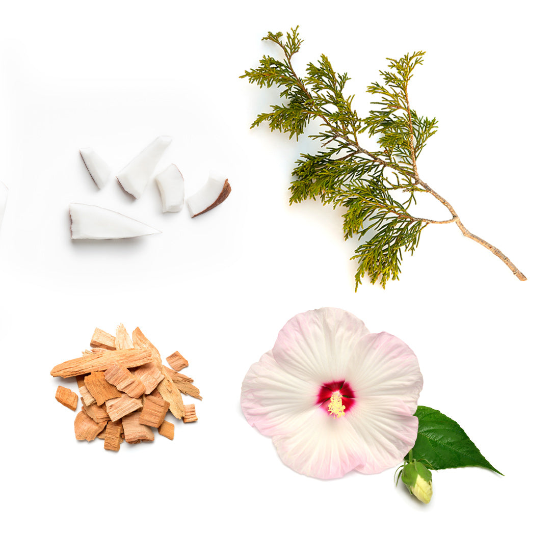 yule log whats inside 1085x1050 eu