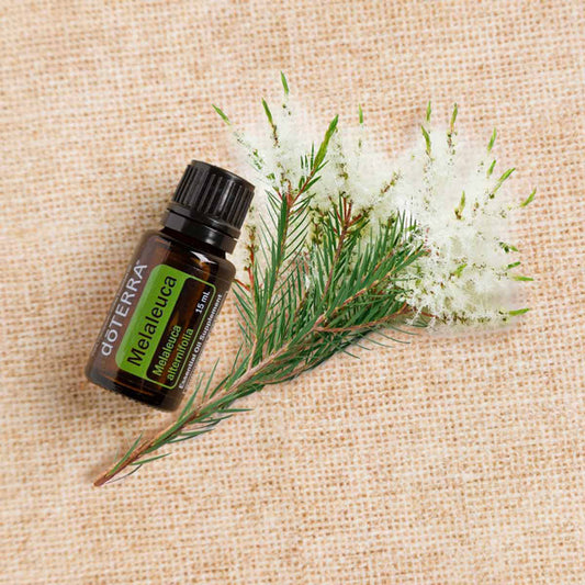 Doterra Teafa (Tea tree) illóolaj 15 ml