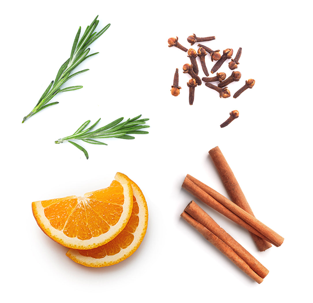 Doterra on guard mi van benne