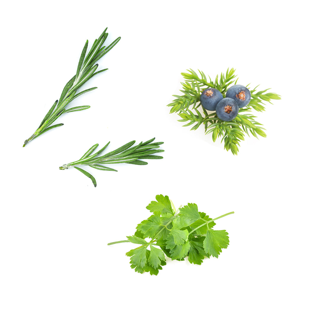 doterra zendocrine illóolaj keverék mi van benne