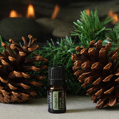 Doterra duglász fenyő douglas fir