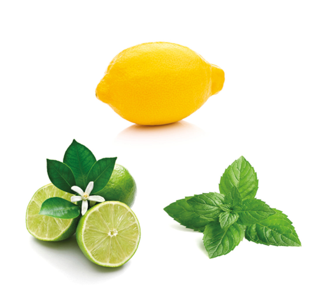 Olejová směs Island Mint™ 15 ml - doTERRA